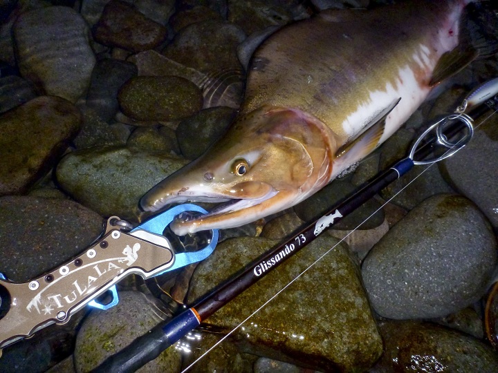 TULALA | Ford every stream | » Glissando 73