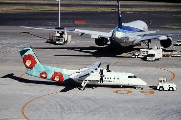 エアーニッポン「EL/ANK」