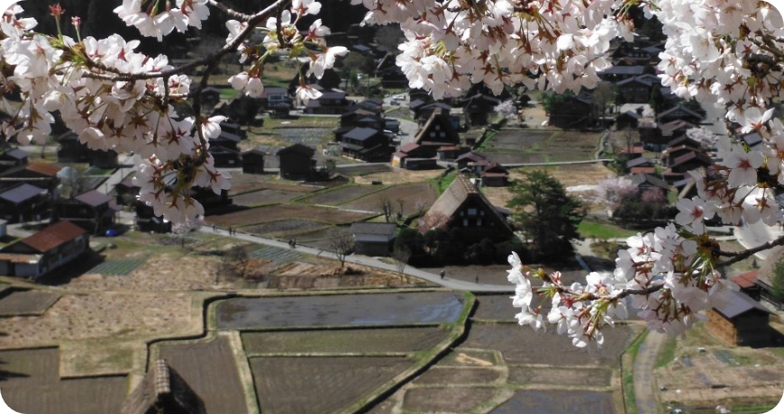 白川郷合掌造りベストショットポイント｜飛騨高山の観光情報！飛騨のた