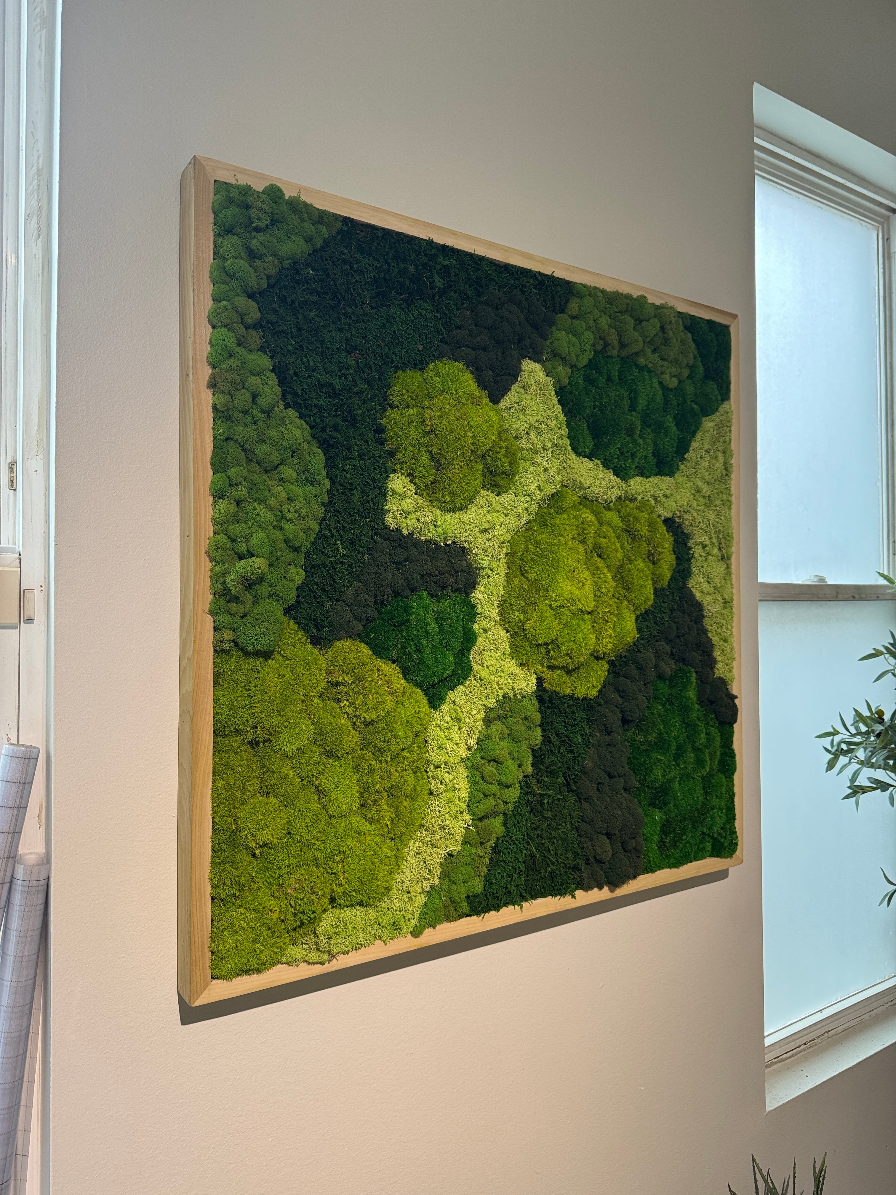 Enchanted Forest Moss Art Frame – The Moss Shop