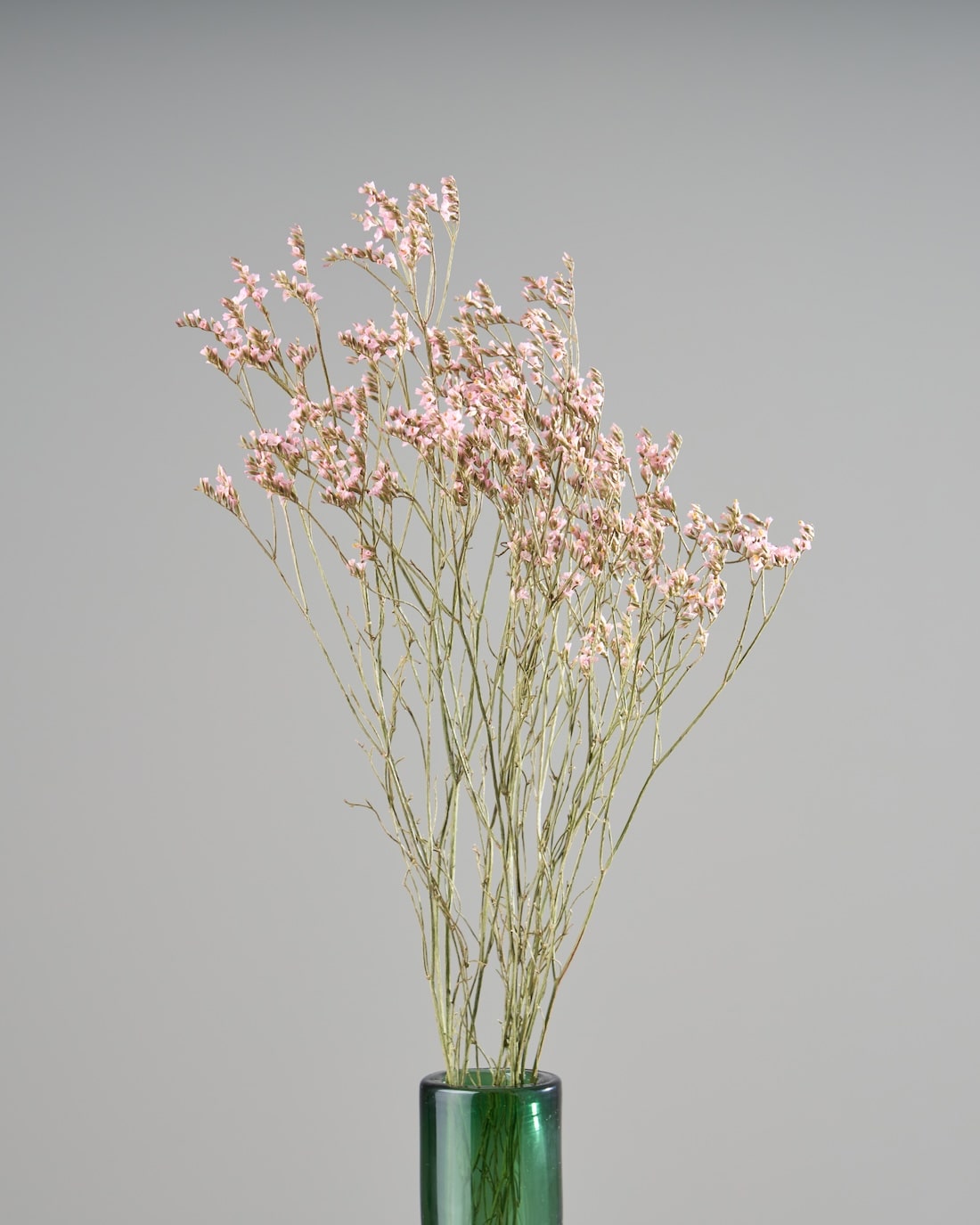 ドライフラワー］宿根スターチス 商品ページ - 土と風の植物園