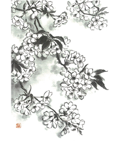 桜の水墨画展 飛鳥画廊 4月10日まで | 小田原・箱根・湯河原・真鶴
