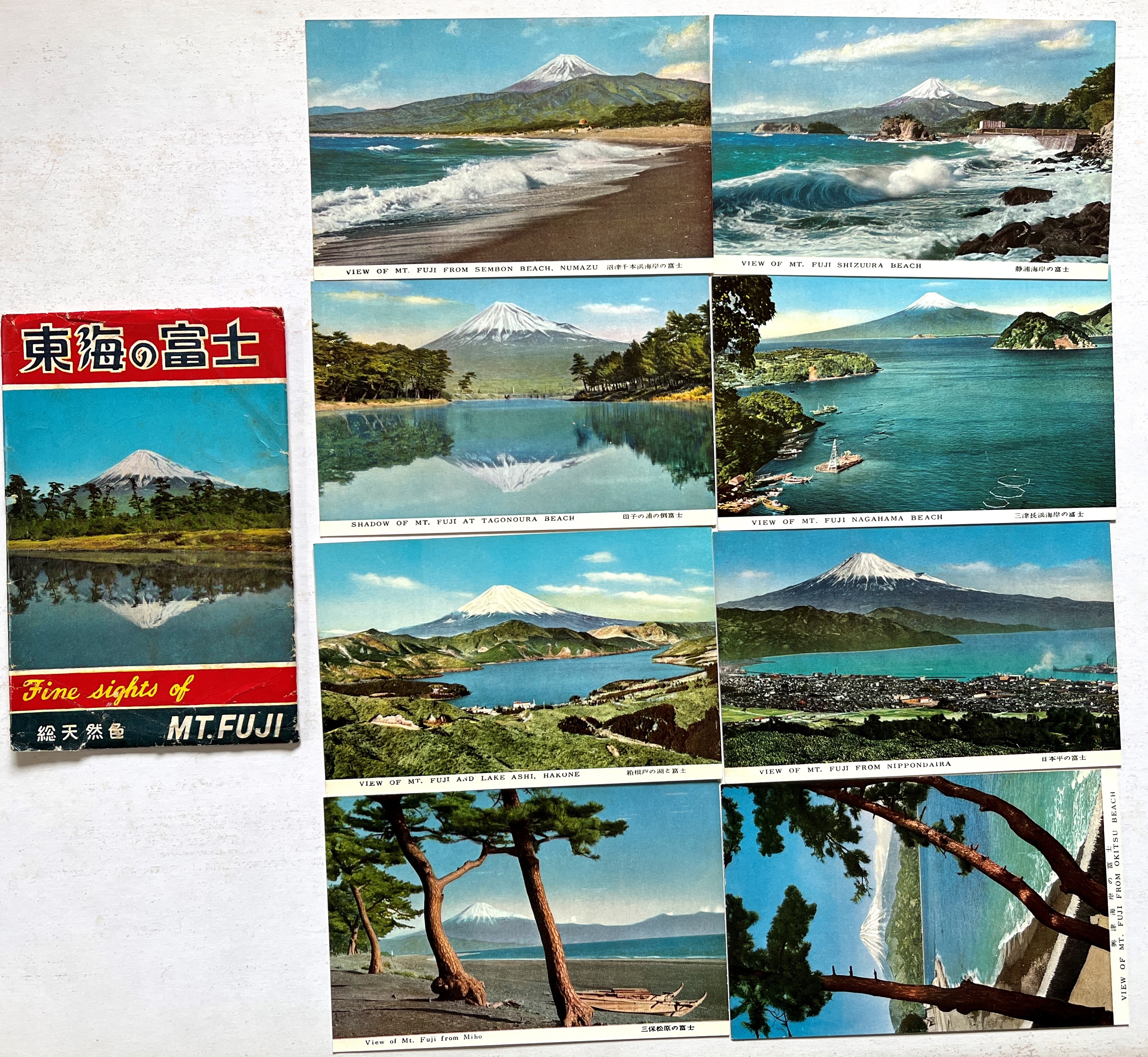 静岡県－絵はがき ―古書・古本―渡井書店