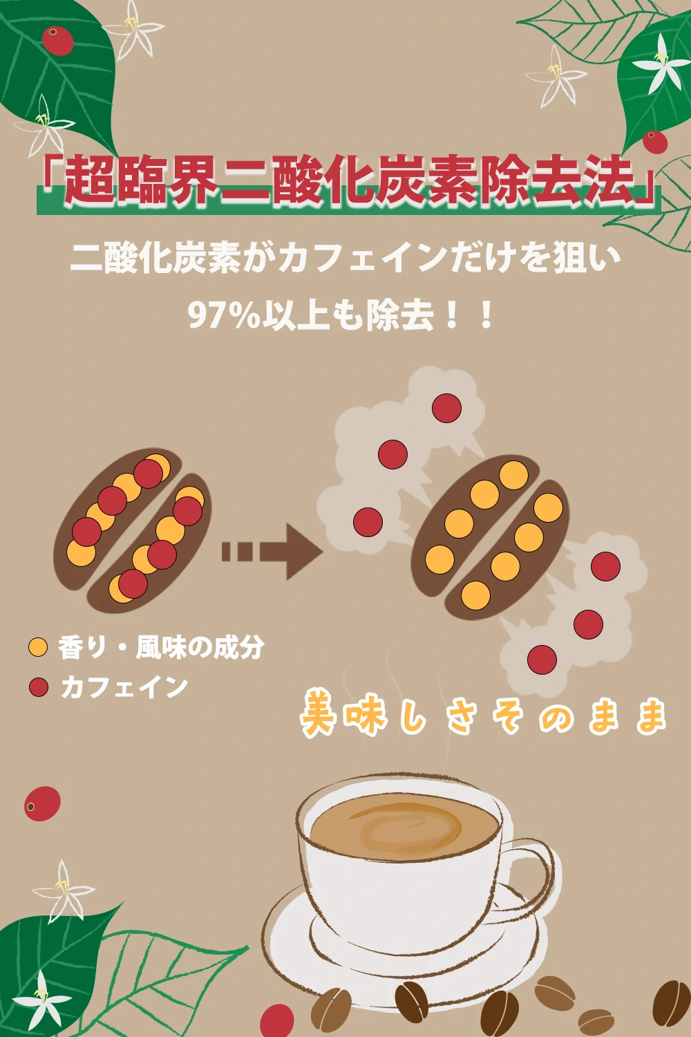 デカフェコーヒー | 株式会社エーギフト | Supplechelin(サプリ