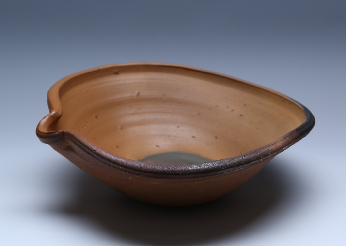 樺澤 健治 南蛮扁壺