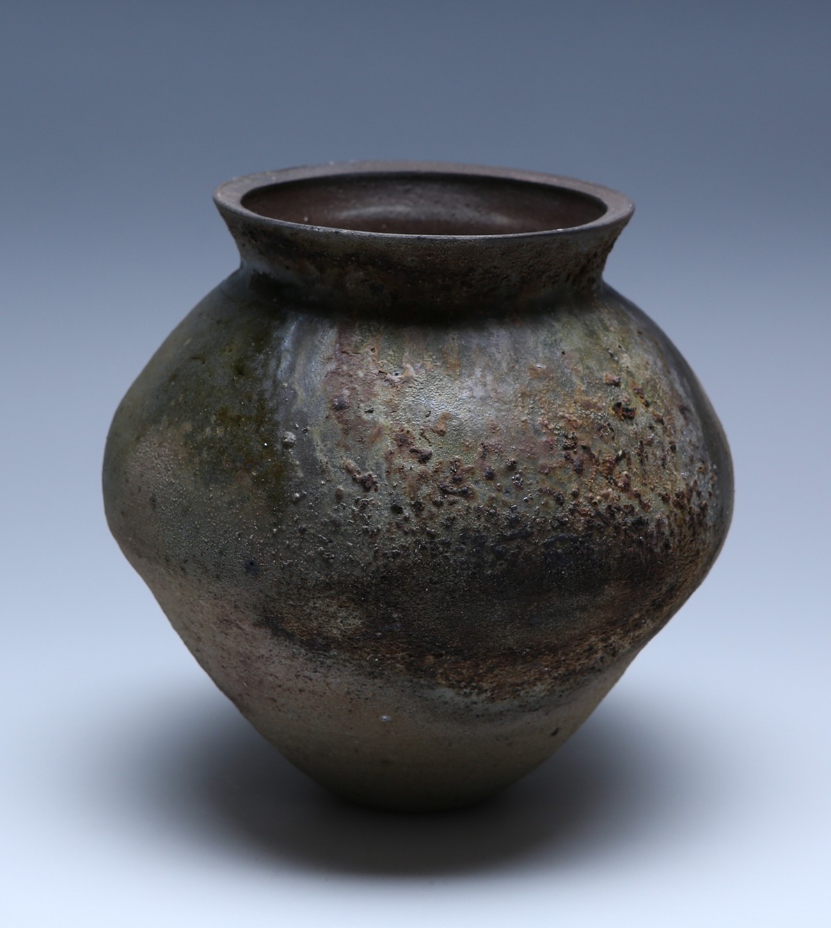 樺澤 健治 南蛮扁壺