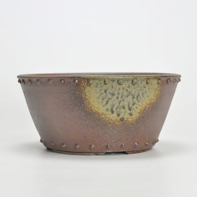 作家鉢 8号 鋲打丸鉢 伊藤光伸作 幅23.5cm×高さ11cm の盆栽を販売