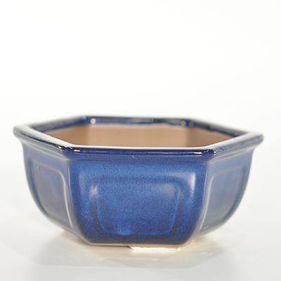 萬古焼】【盆栽鉢】六角 6号を販売｜盆栽妙 – 盆栽妙 本店