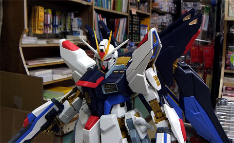 PG ストライクフリーダムガンダム ～その9～ | メリクリウスの杖