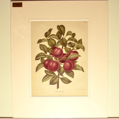 絵画 | イギリスアンティーク家具Caurses au Antiques