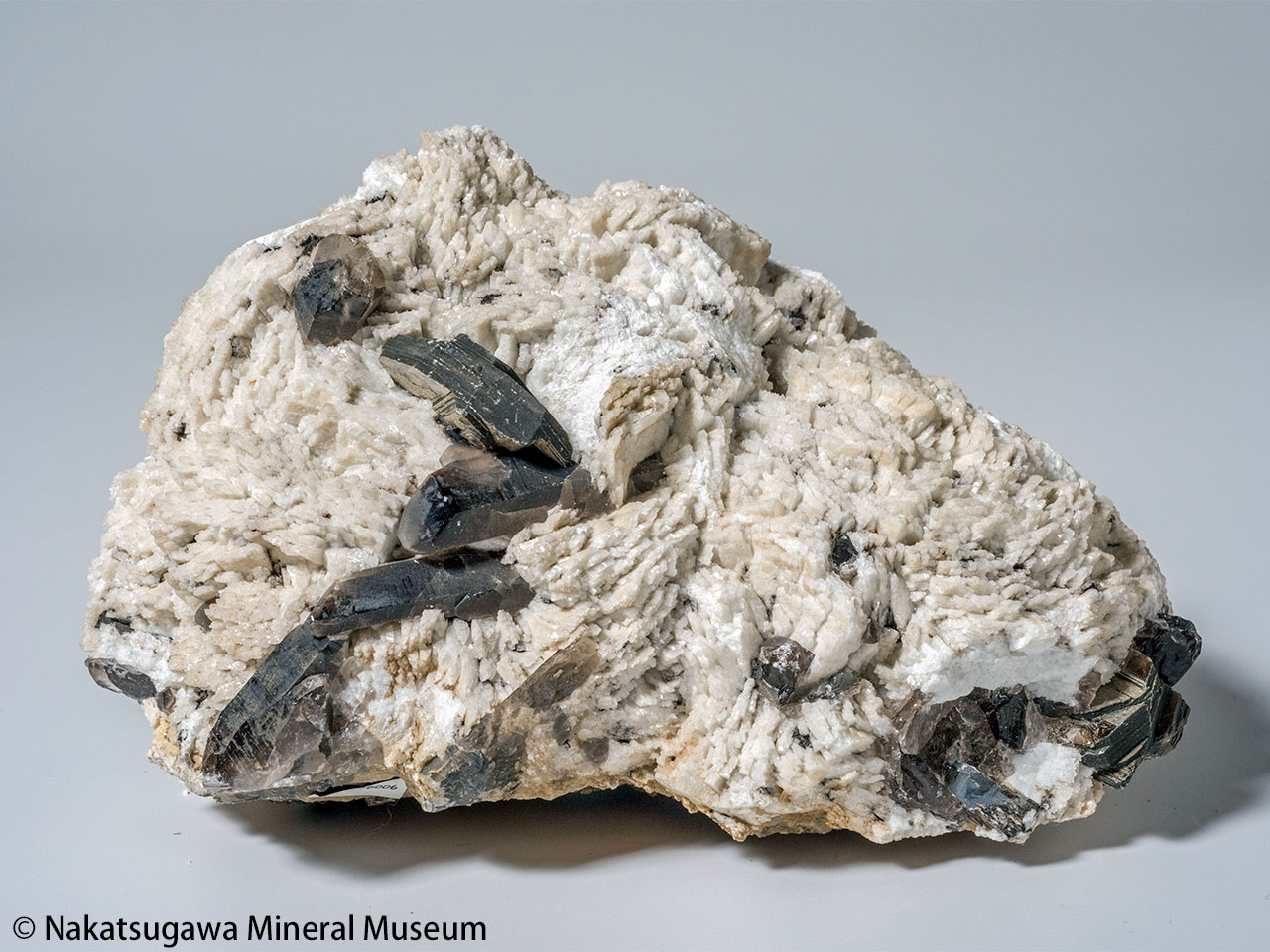 曹長石［EA96036006］／中津川市