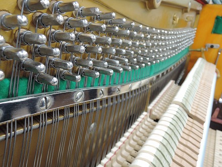 スタインリッヒ S-17 - 第一楽器株式会社