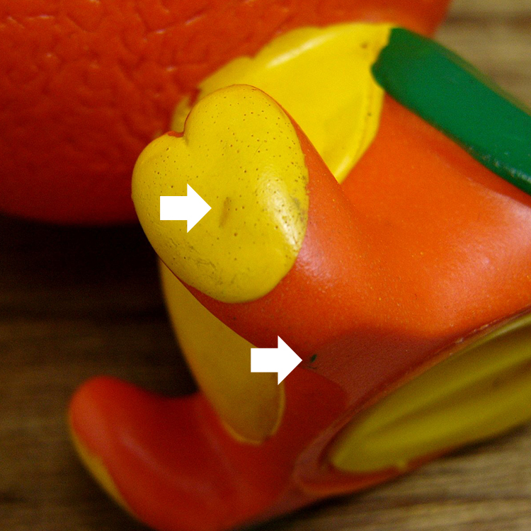 UNKNOWN☆オレンジバード コインバンク☆DEALERSHIP