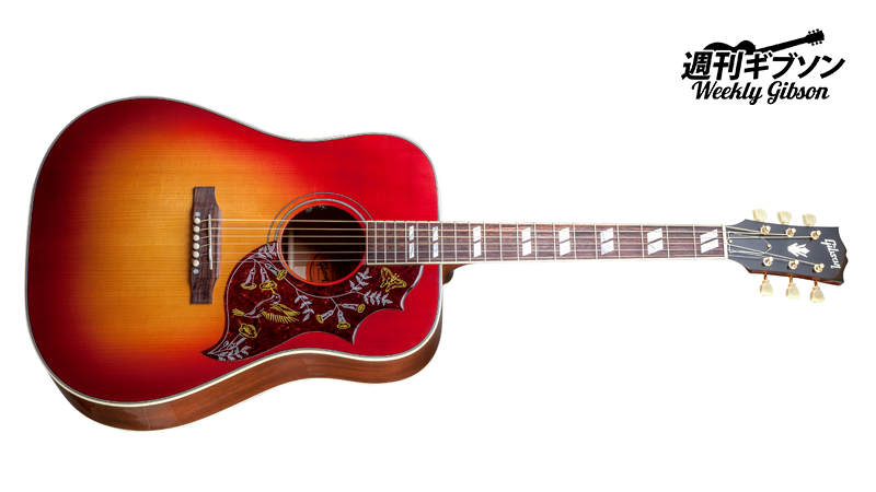 トップにアディロンダック・スプルースを採用した限定ハミングバードを