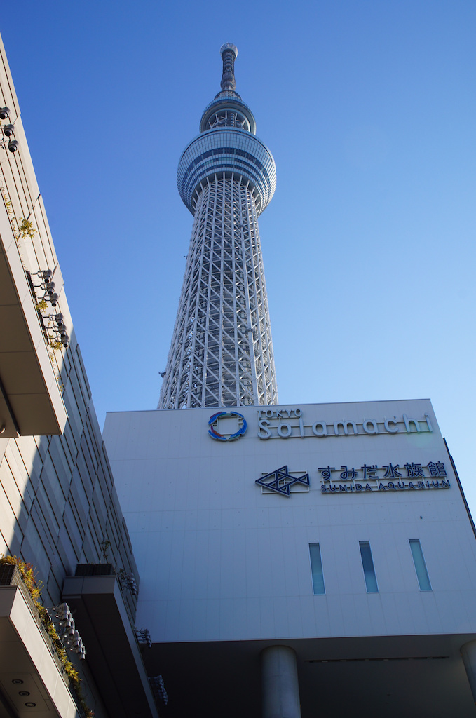 成人の日の三連休中にスカイツリーに行ってきました - drk7jp