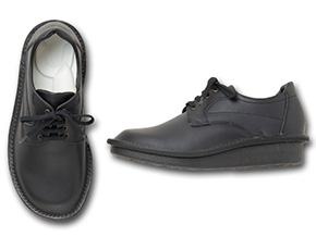 取扱い商品一覧 ｜ 健康・環境・介護予防｜靴内環境歩行改善協同組合えこる