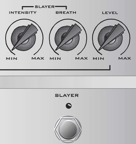 Rocktron Silver Dragon