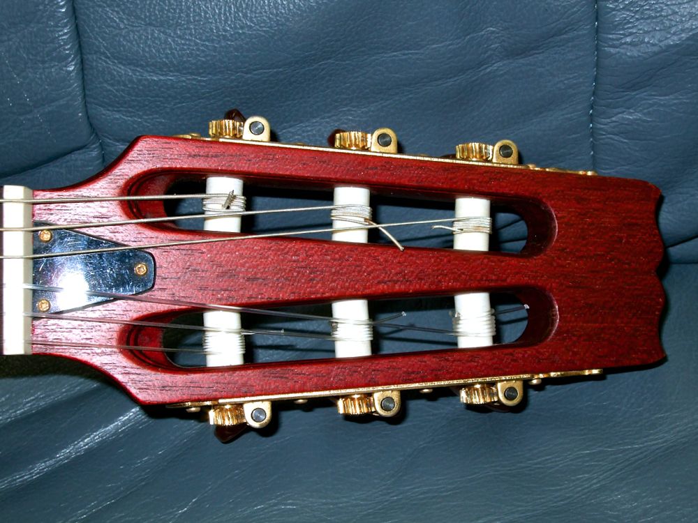 Aria PE-MIDI エレガット | Franken