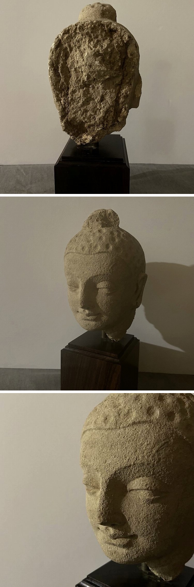 四方堂 - ガンダーラ 仏頭 | 古美術品専門サイト fufufufu.com