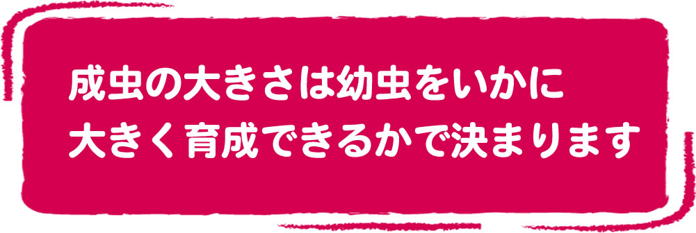 昆虫マット・発酵マット・栄養添加剤【フジコン】