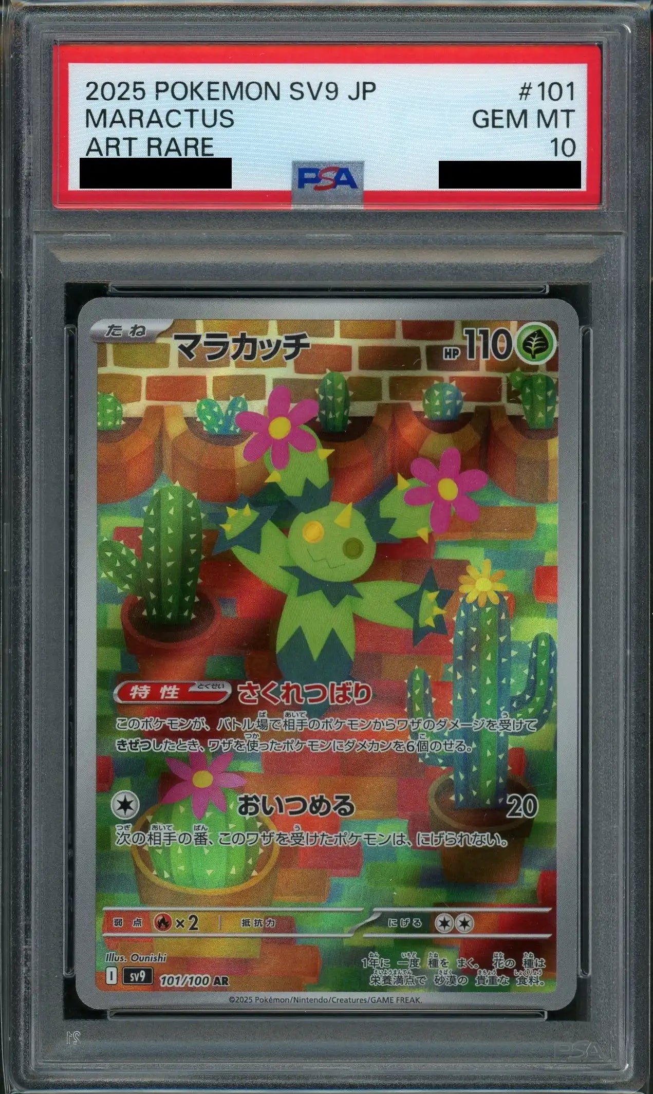 PSA10】マラカッチ(AR){草}〈101/100〉[SV9] – 晴れる屋2