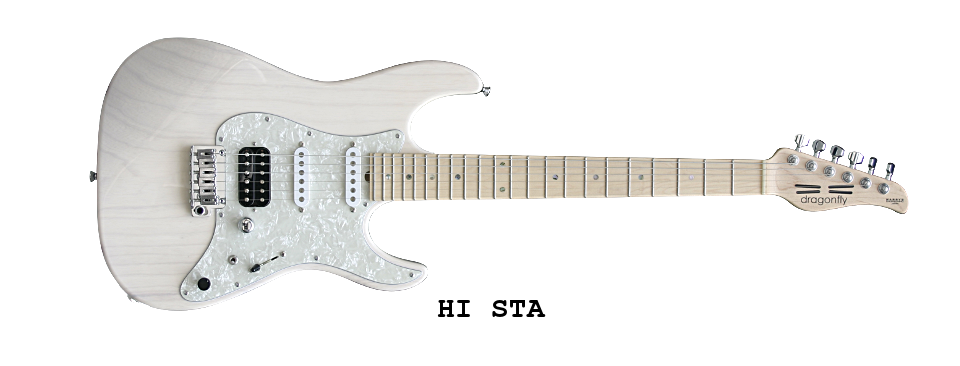HARRY'S ENGINEERING / dragonfly custom guitars