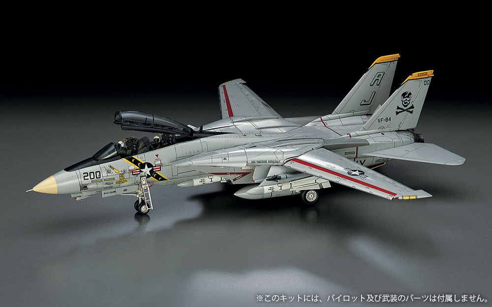 F-14A トムキャット “大西洋空母航空団” | 株式会社 ハセガワ