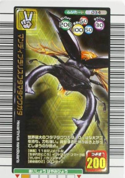 甲虫王者ムシキングカード/メインページ/トレーディングカード販売