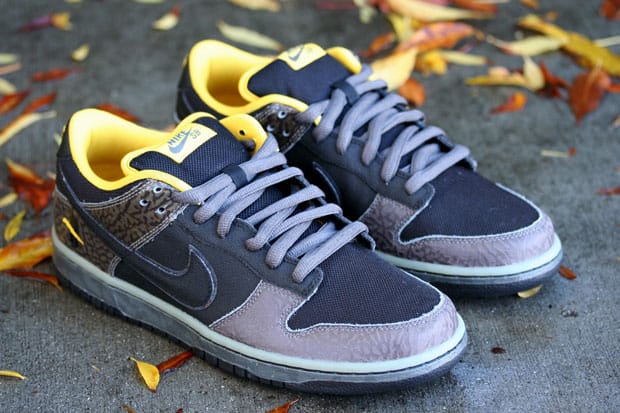 Nike SB Dunk Low Premium 