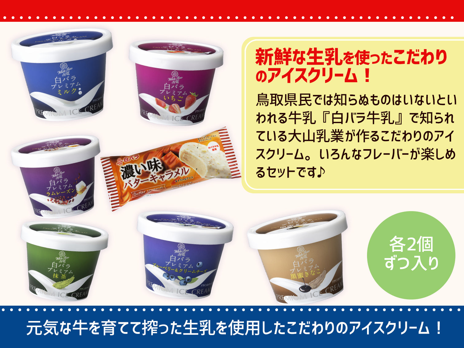 大山乳業_白バラプレミアムセットA（14個入り）｜ご当地アイス通販