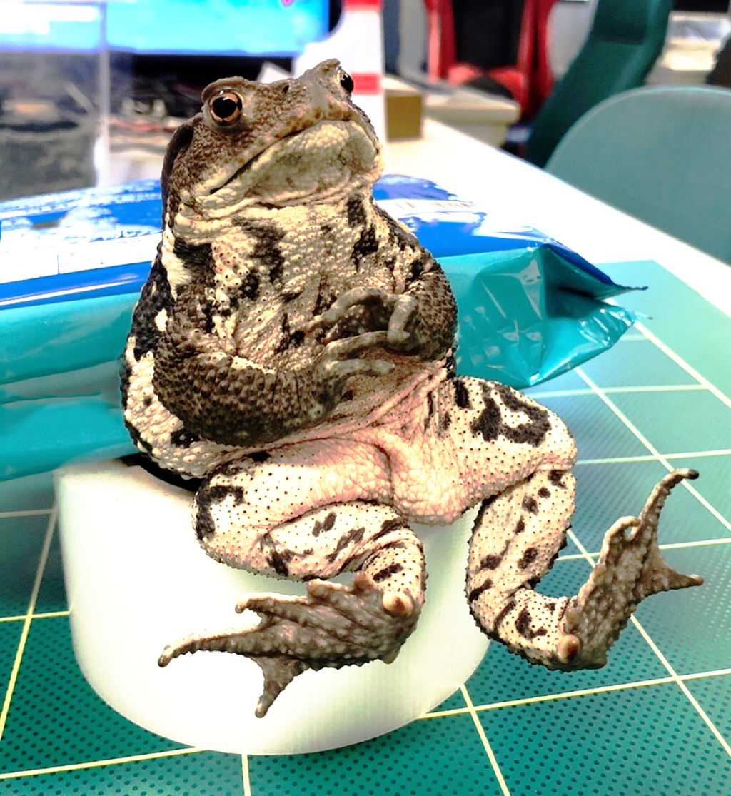 東北大学・松井広研究室