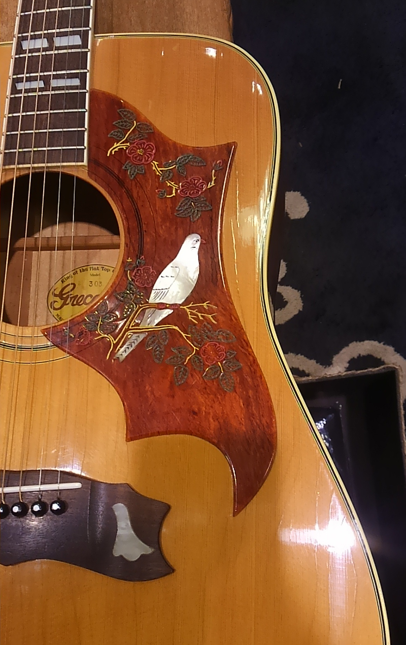 おっ！イイね? GrecoのDOVEモデル | イシバシ楽器スタッフブログ