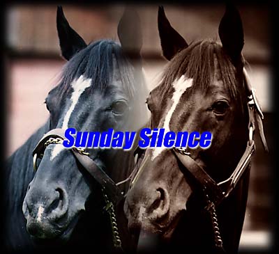 サンデーサイレンス J-horse.com［ジェイホースドットコム］