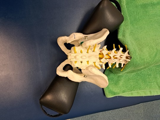 骨盤矯正グロック - 岩出市で整体・整骨なら 紀北整骨院（ヒーリング