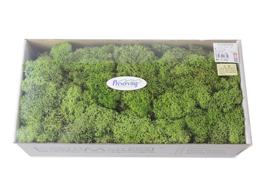 大地農園・500gアイスランドモス大スプリンググリーン(61073-780