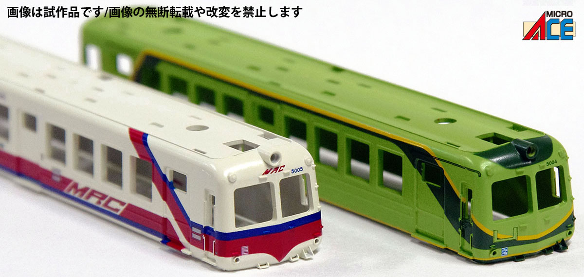 アオガエル一族ご紹介