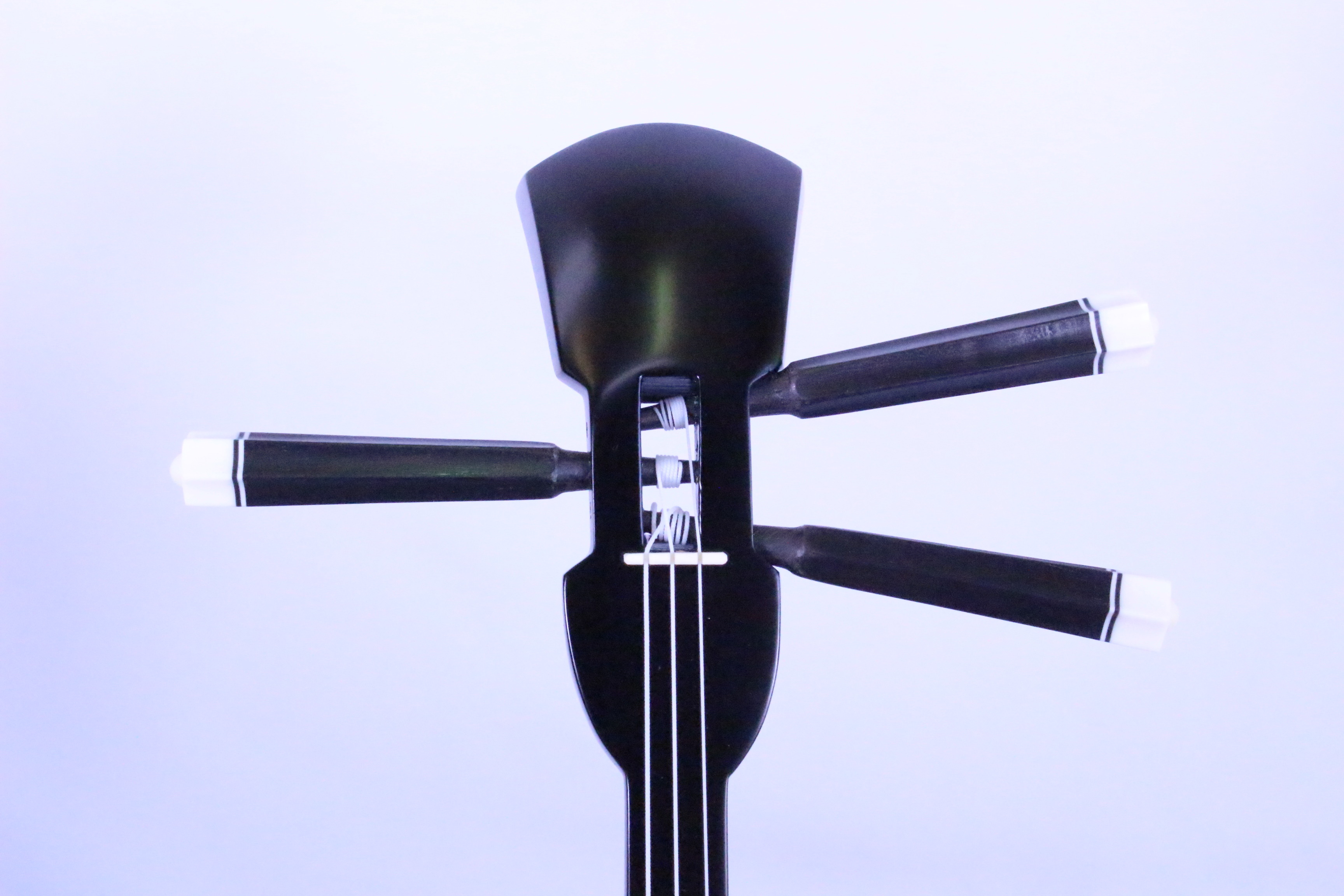 蛇皮一枚張り三線(両面本皮タイプ)【初心者向け8点セット】 三線