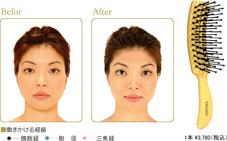 株式会社 リード モンテセラピー 製品のご案内＜リフトブラシ＞