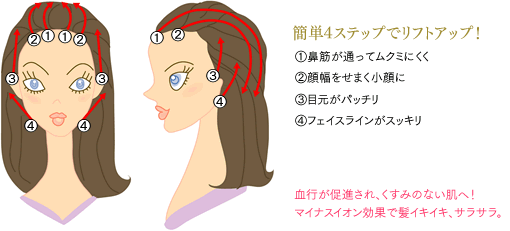 株式会社 リード モンテセラピー 製品のご案内＜リフトブラシ＞