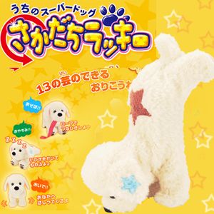 さかだちラッキー ホワイト