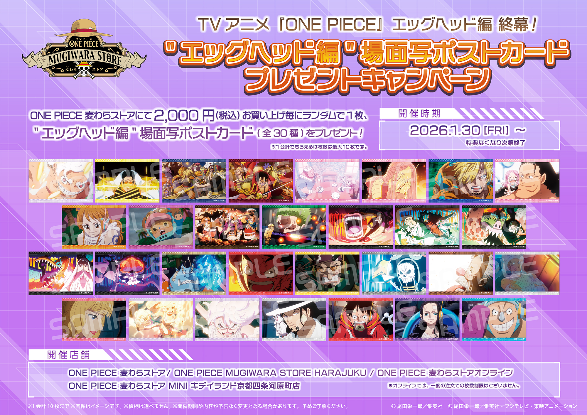 お知らせ】エッグヘッド編が終幕！ポストカードプレゼントキャンペーン