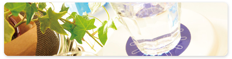 碧い海（帯磁性ナノバブル水生成器）の紹介 | ナノ・テクノロジー有限会社