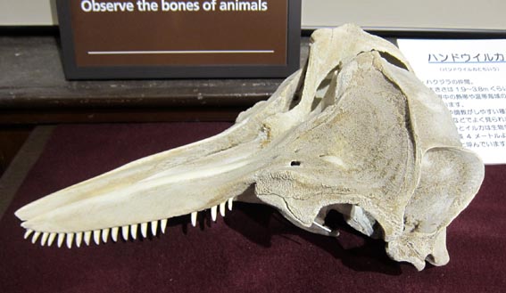 海洋辞典Ocean Dictionary, 一枚の特選フォト「海 ＆ 船」Photo