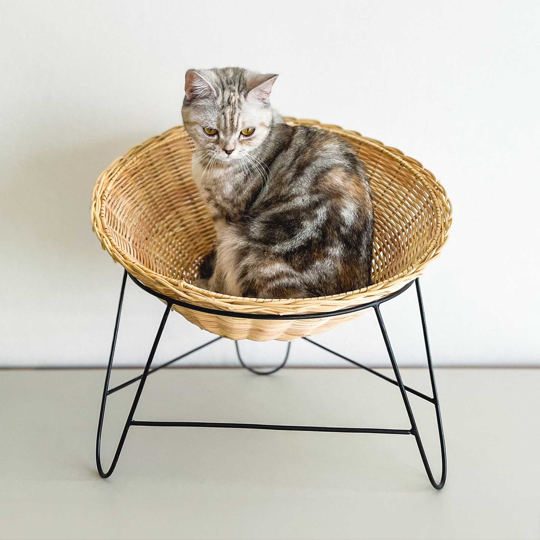 オルネコ・アイアンレッグラタンチェア｜オルネコ（ベッド・ハウス