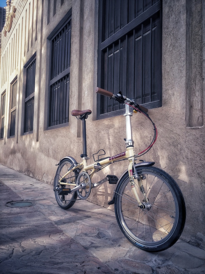 Dahon Boardwalk D7 - Pedal Room