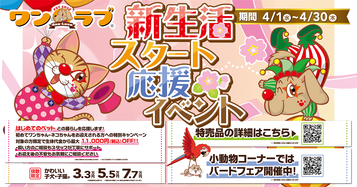 ニャンラブ ららテラス北綾瀬店 ペットショップ ワンラブ