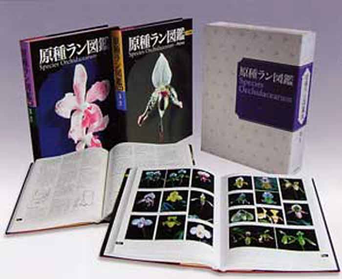 原種洋蘭大図鑑 白石茂 285属1198種収録 原種洋蘭大図鑑 | 白石 茂 |本