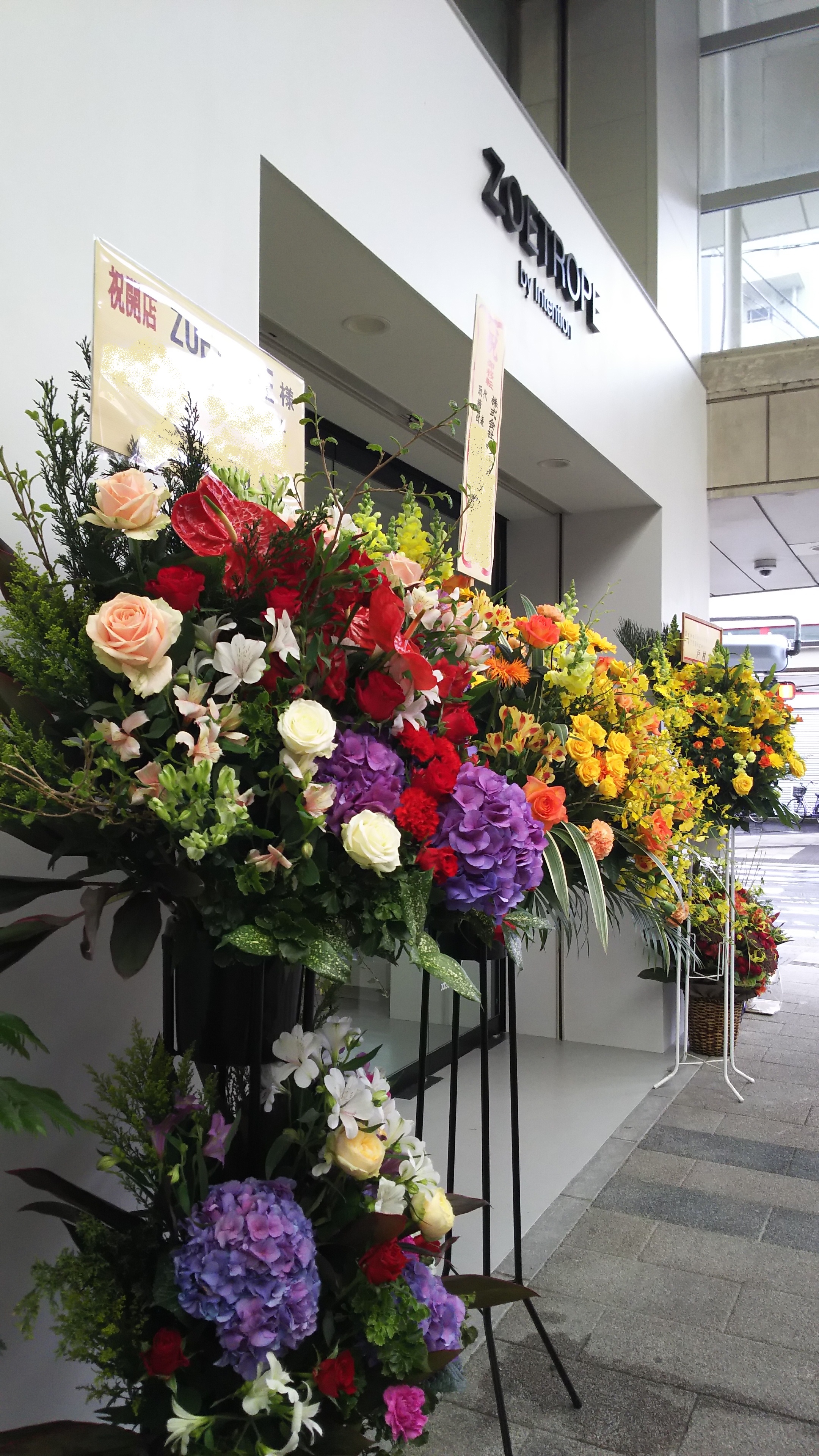 ZOETROPE』新潟古町OPEN | 【公式】新潟市の花屋 咲 -saki-