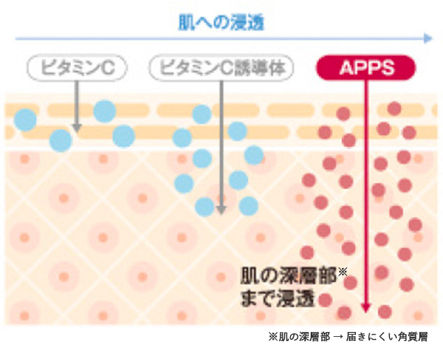 ドクターソワ APP-C フラセラム <ビタミンC美容液>［通常サイズ：30ml
