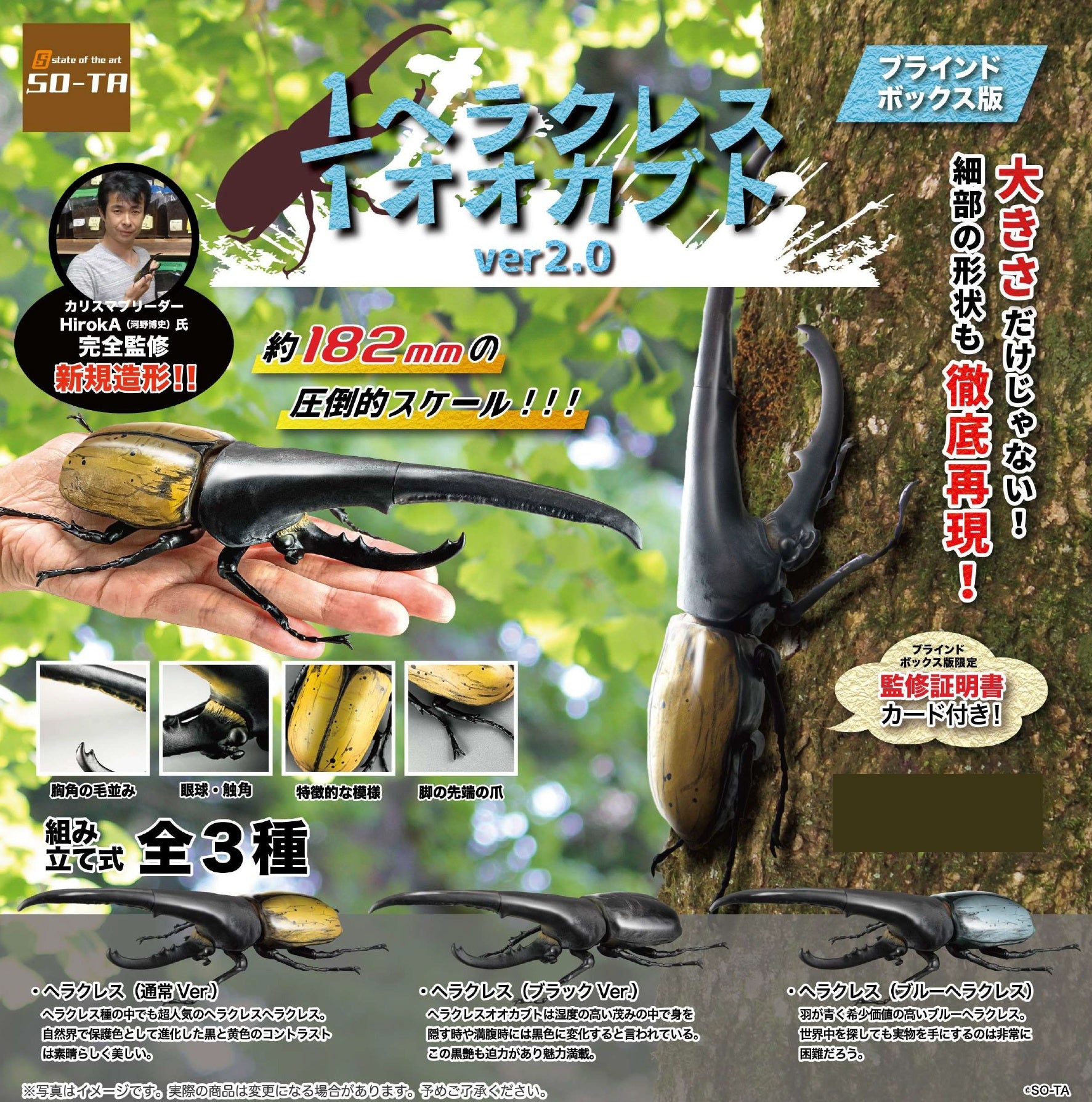 BOX販売]ヘラクレスオオカブト ver.2.0 -4個入りBOX- – SOOTANG HOBBY